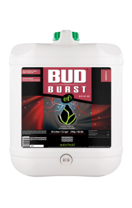 Bud Burst®